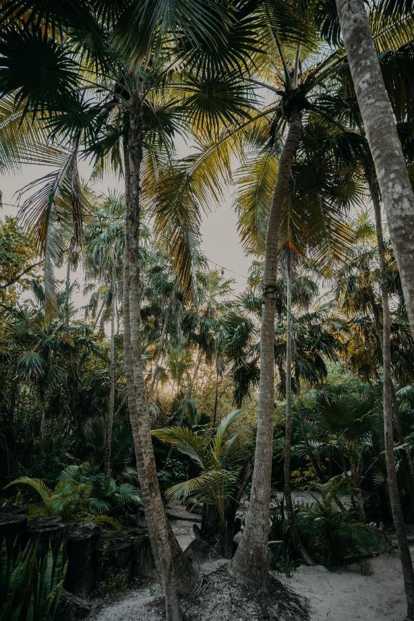 Ether Tulum Eksteriør bilde